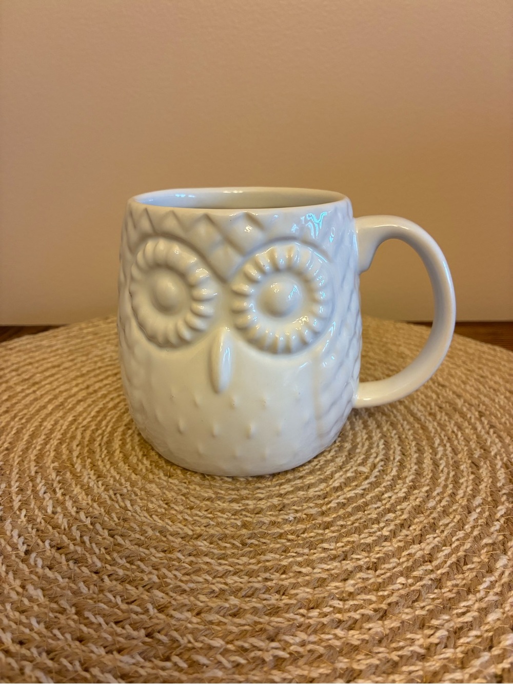 Home Essentials White Owl Ceramic Mug